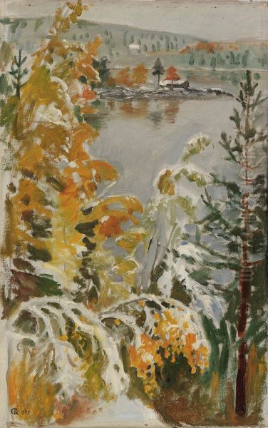 Hostlandskap, forsta snon - view 1