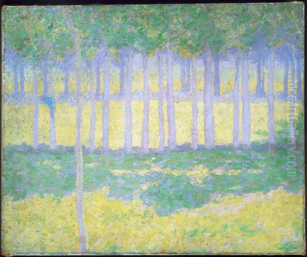 Landscape - view 1