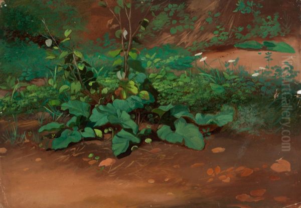 Landscape, Study - view 1
