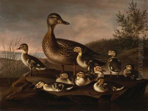 Mallard Ducklings by Magnus Von Wright