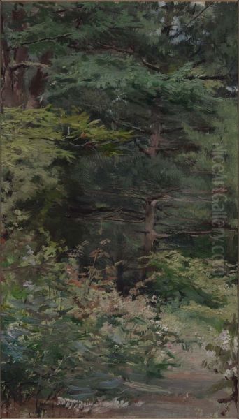In Ashdown Forest, Sussex - view 1