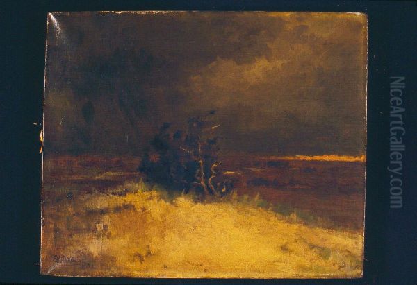 Autumn Marshes - view 1