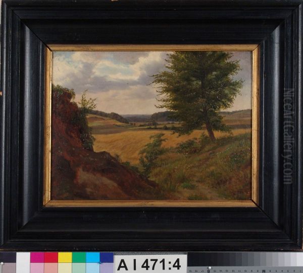 Tree in Field Landscape, Study - view 1