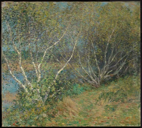 The Birches - view 1
