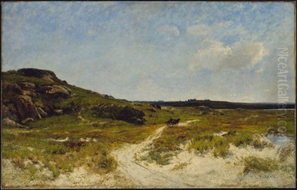 Sand Dunes of Essex, Massachusetts - view 1