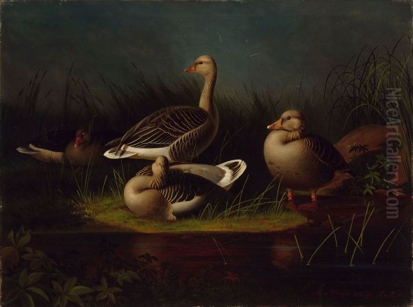 Merihanhia, kopio Ferdinand von Wrightin mukaan - view 1
