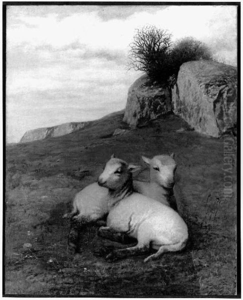 Sheep Pasture - view 1