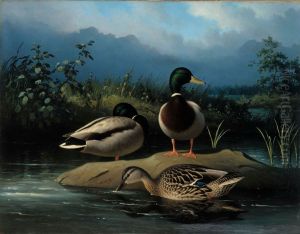 Mallards by Ferdinand von Wright
