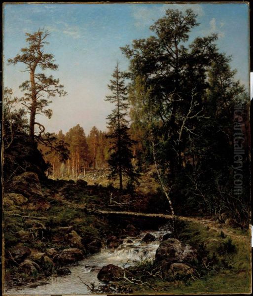 A Forest Landscape from Hauho - view 1