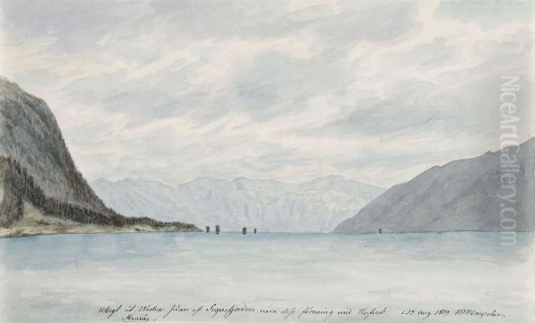 Sognefjorden invid havet - view 1
