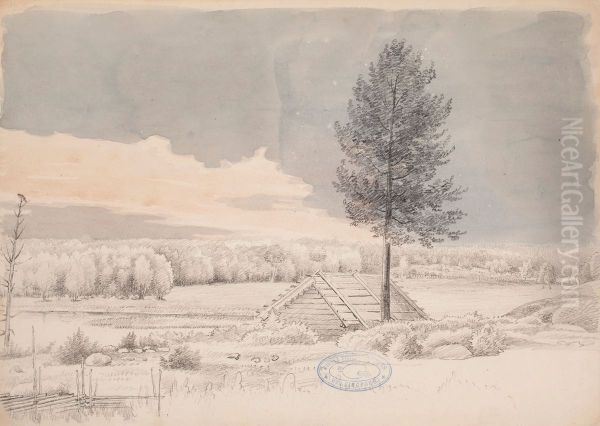 Landscape from Kirkkonummi - view 1