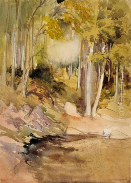 In the Woods - view 1