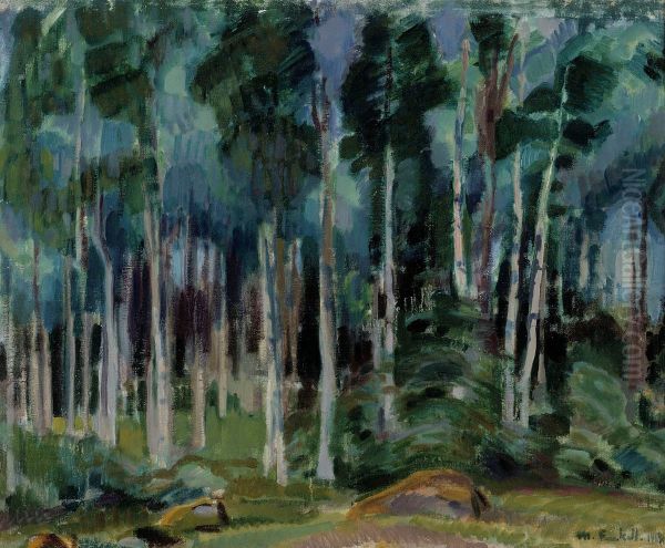 Birches in Vaaksy - view 1
