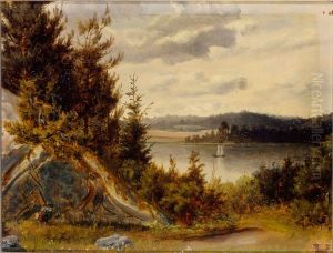 Wooded Waterfront Landscape by Johan Knutson