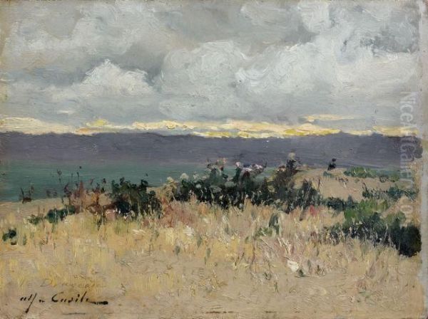 Paysage - view 1