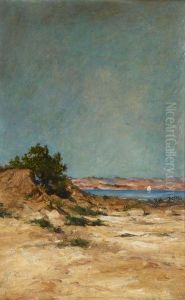 Paysage De Littoral by Alfred Casile