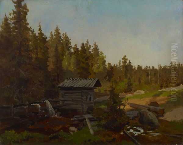 Vesimylly suomalaisessa metsassa - view 1