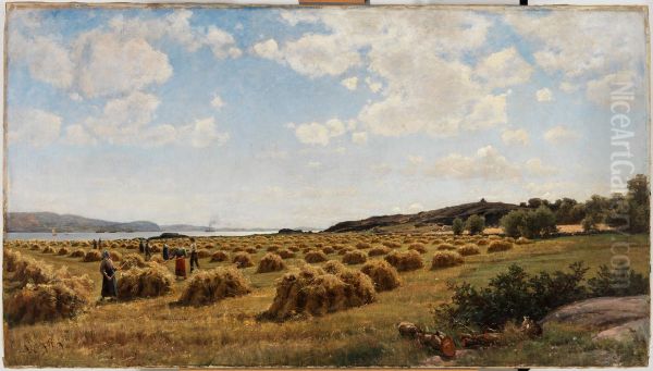 Oat Harvest on theHisingenIsland - view 1