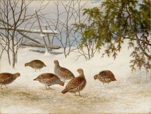 Partridges in Snow
