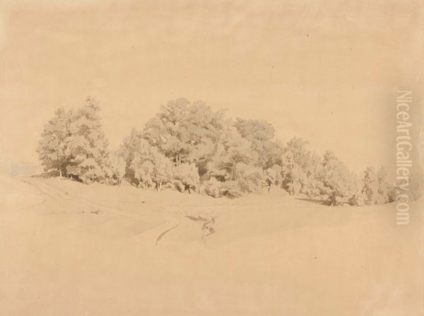 Landscape - view 1