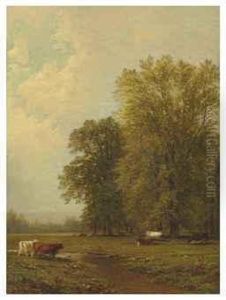 Saratoga Landscape Saratoga Landscape
