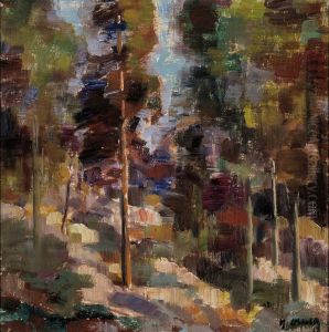 Forest Landscape Forest Landscape