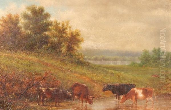 Cattle At The Stream - view 1