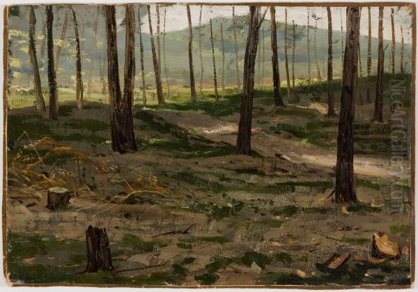 Landscape from Rath - view 1