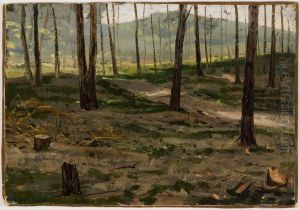 Landscape from Rath Landscape from Rath