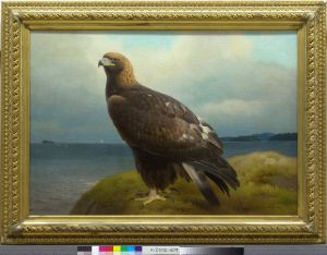Golden Eagle