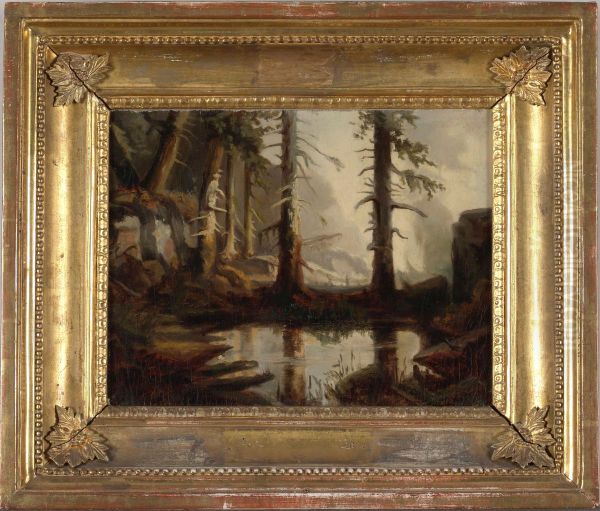 A Forest Pond, after H. A. Cappelen - view 1