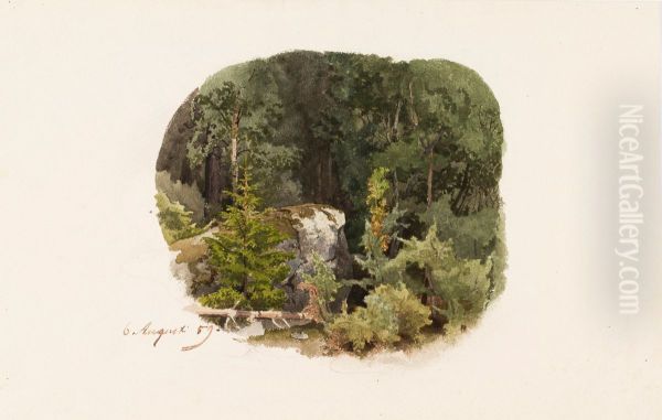 Metsansisusta - view 1