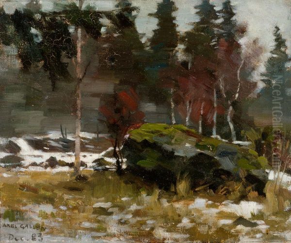 Varvinter - view 1