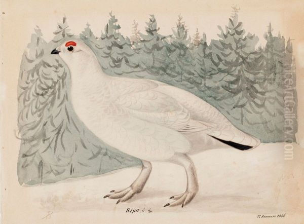 Willow Ptarmigan - view 1