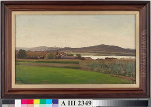 Summer Landscape Summer Landscape