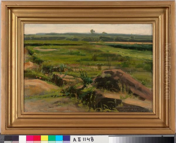 Dutch Plain Landscape - view 1