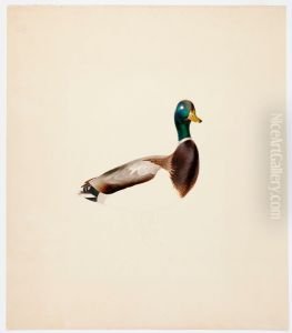 Mallard ; unfinished by Magnus Von Wright