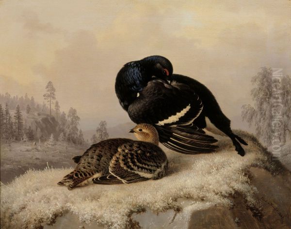 Black Grouse, Cock and Hen - view 1