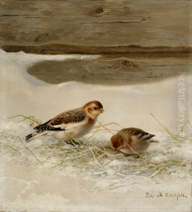 Snow Buntings