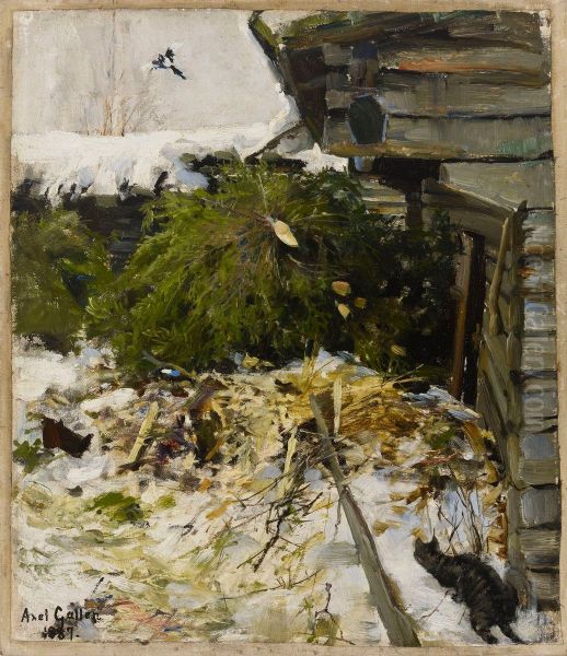 Spruces in a Farmyard - view 1