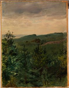 Spruce Saplings in Sandy Soil, Study