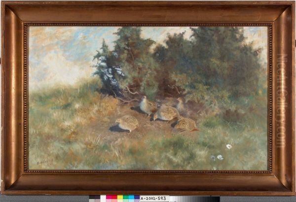 Partridges - view 1