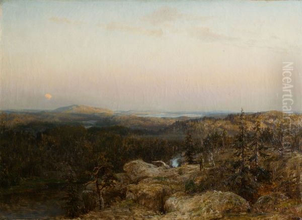 Landscape from Savo - view 1