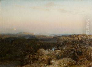 Landscape from Savo by Berndt Lindholm