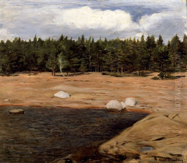 The Beach, Niemenlautta - view 1