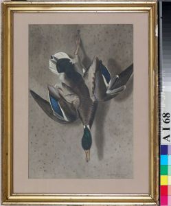 Riippuva sorsa by Ferdinand von Wright