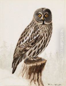 Great Grey Owl by Wilhelm Von Wright
