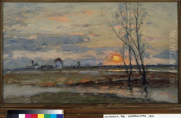 Summer Landscape - view 1