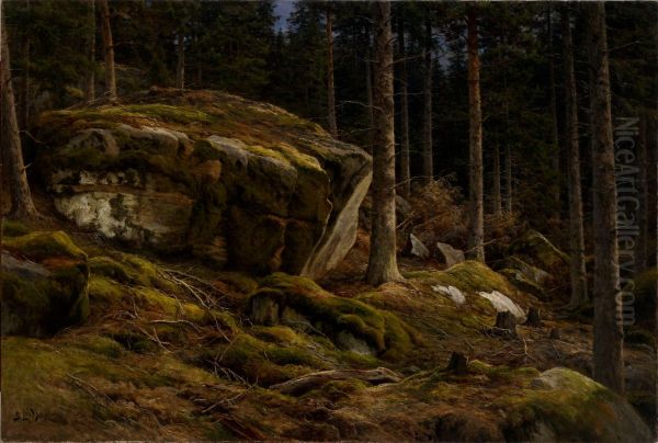 Woods Landscape - view 1