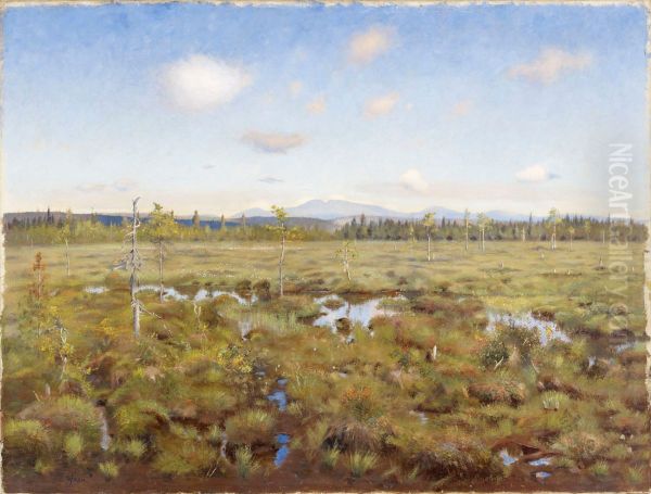 Landscape from Lapland - view 1